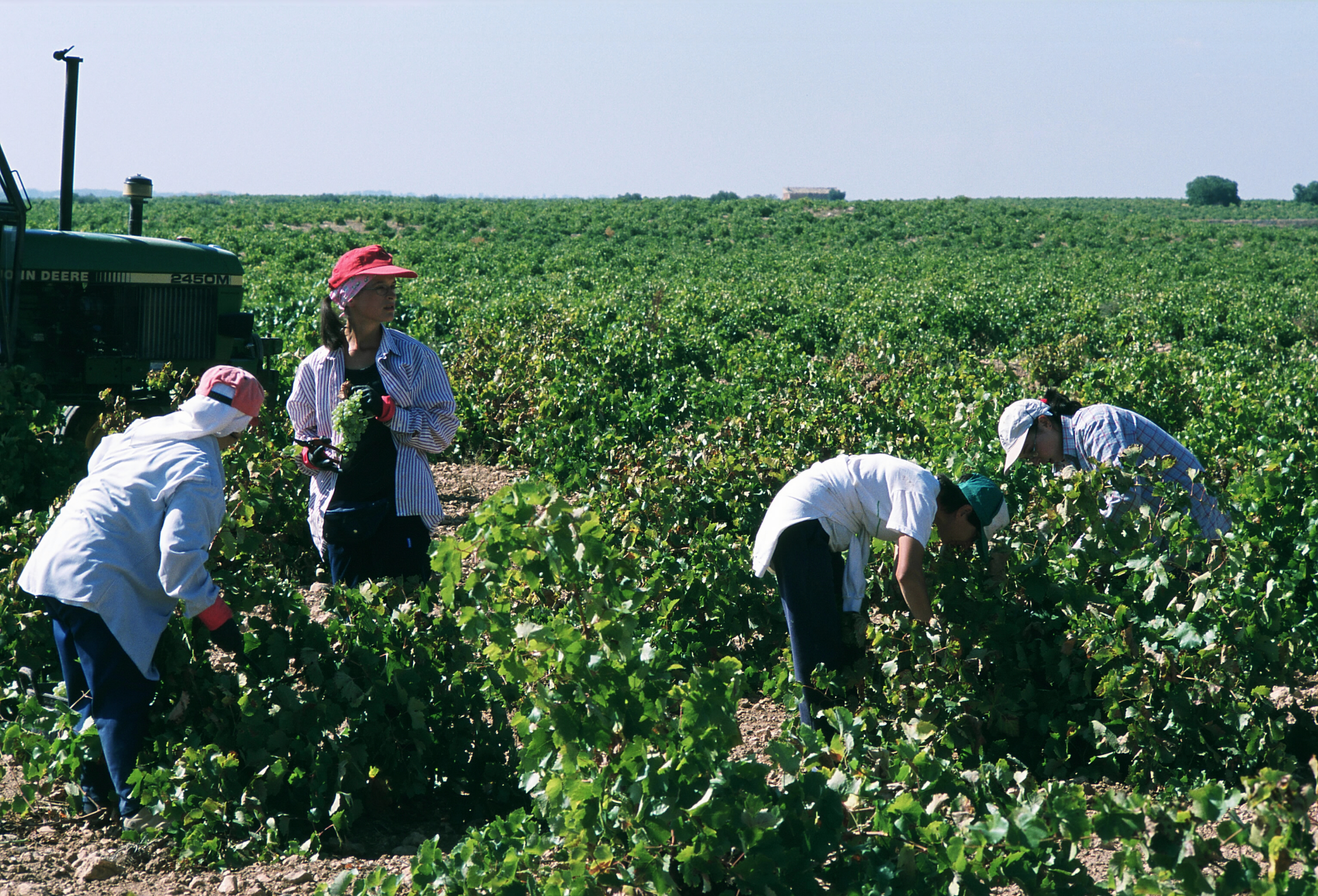 Aprobado el primer Plan para la Promoción de las Mujeres en el Medio Rural
