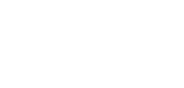CEPES Transparency Portal